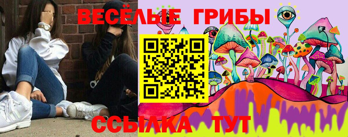 Галлюциногенные грибы Magic Shrooms  Вход с VPN  Псилоцибиновые грибы мицелий  Камышин 