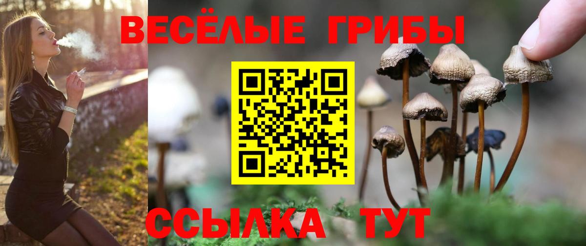 Псилоцибиновые грибы мухоморы Камышин